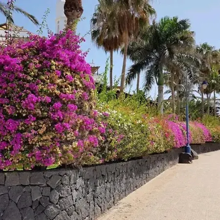 Sea View & Wiffi Free 아파트 *